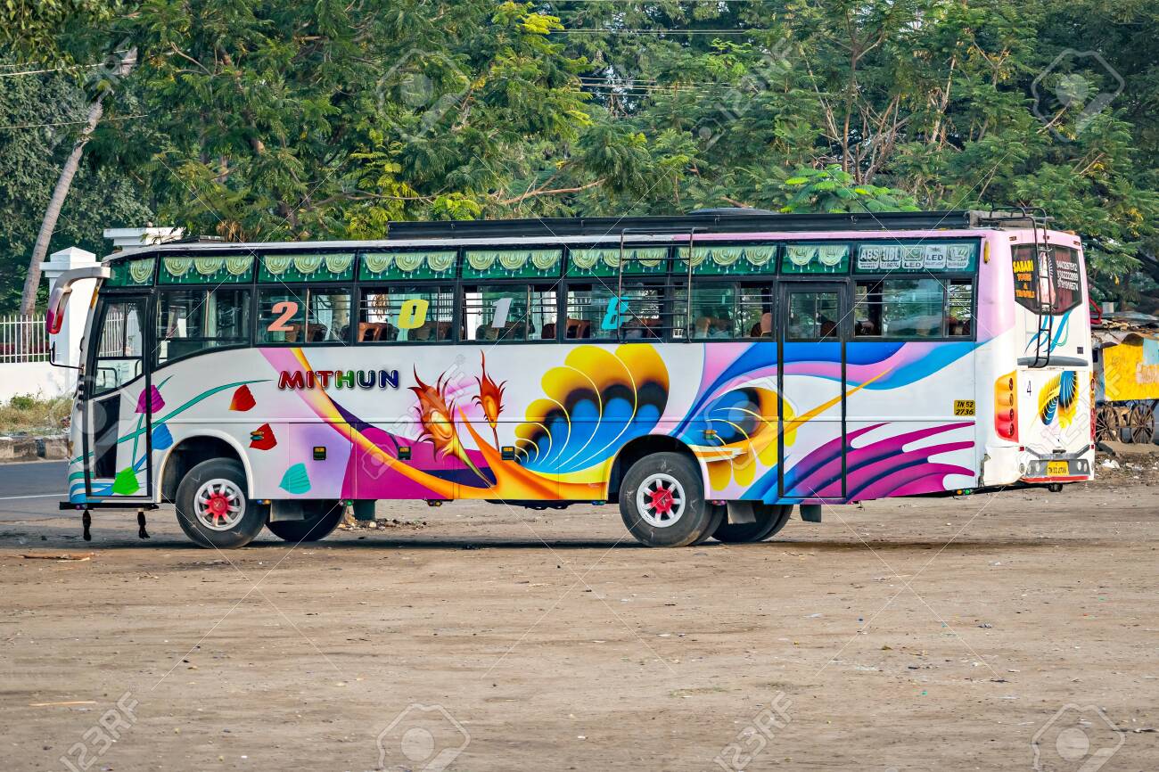 School Bus Sales
